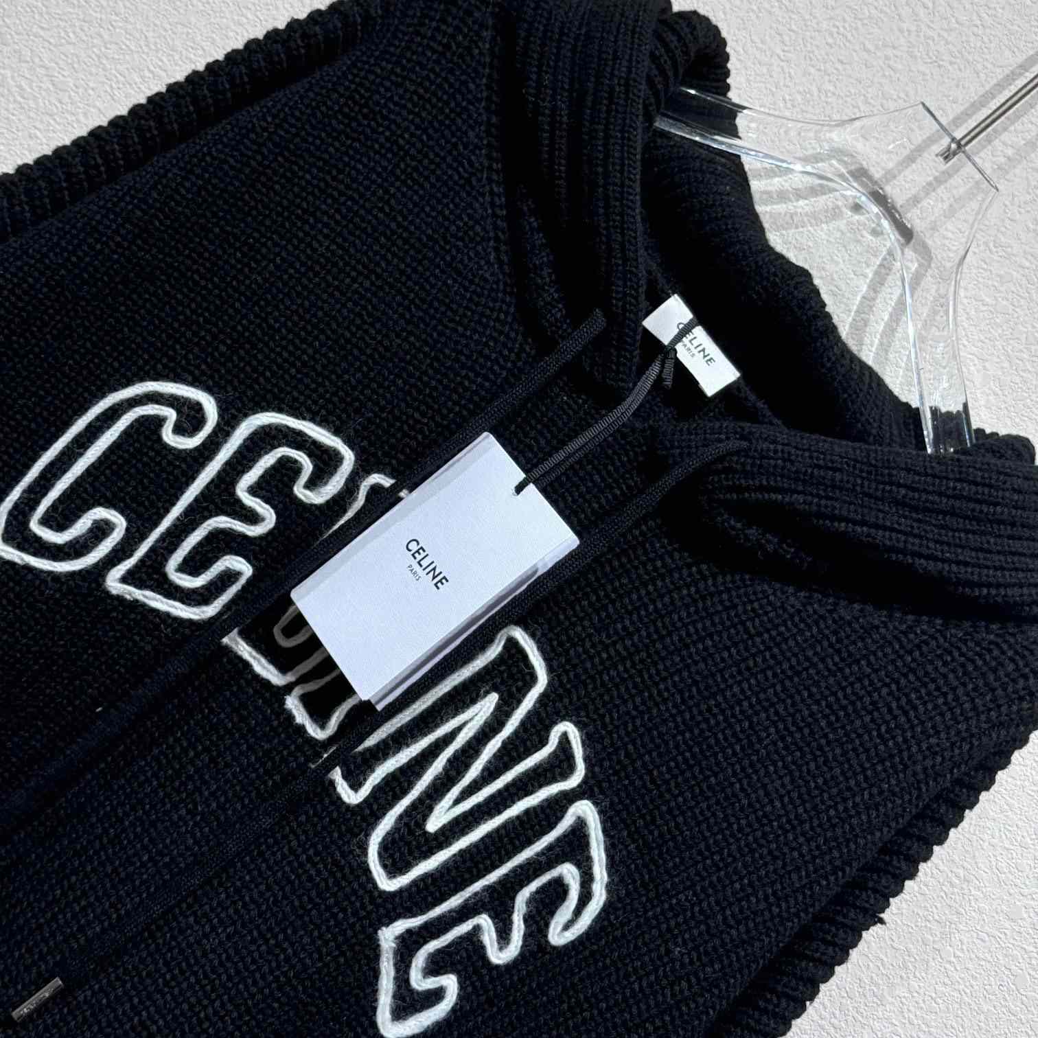 Celine Hooded Sweater In Ribbed Wool - DesignerGu