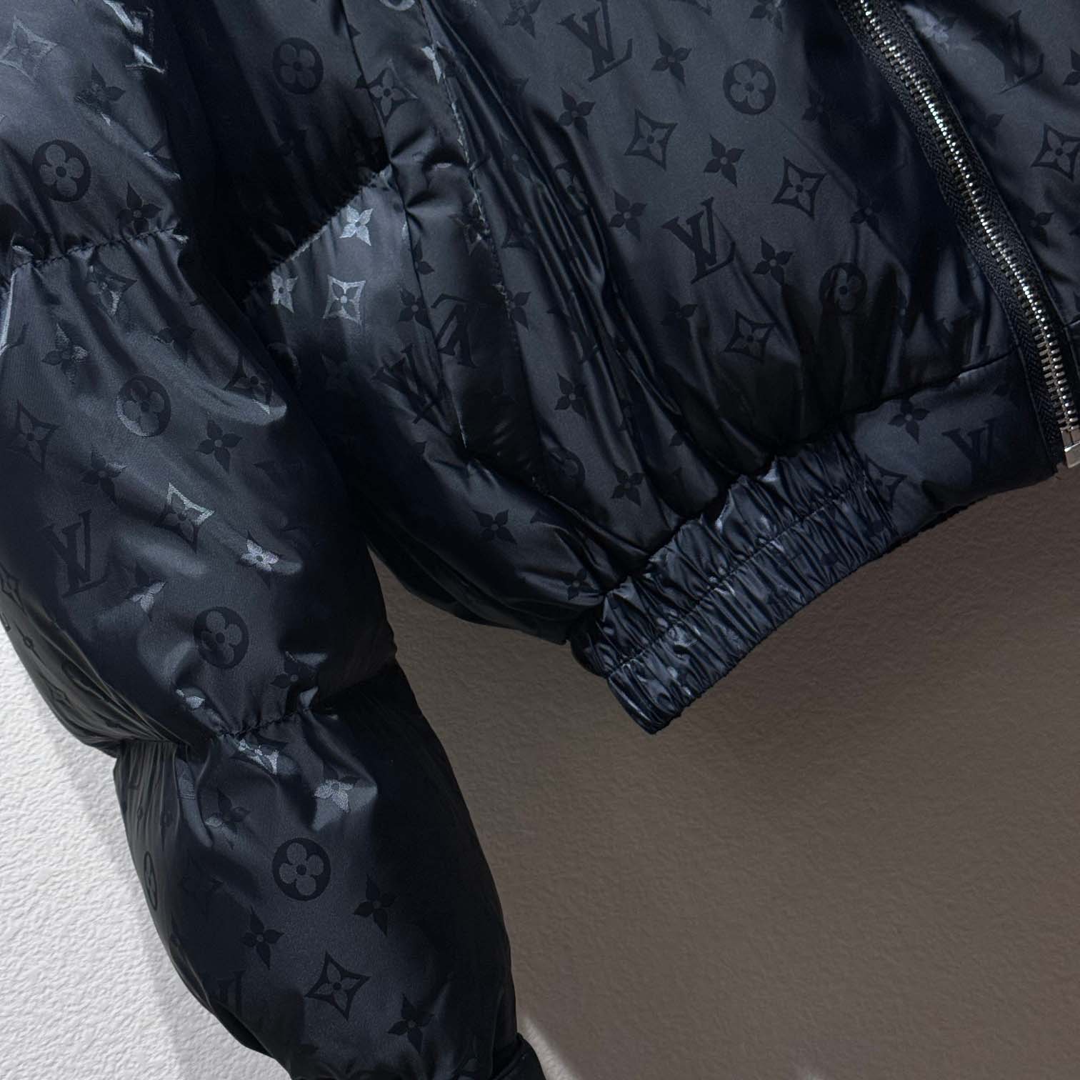 Louis Vuitton Monogram Down Jacket  1AGIRS - DesignerGu