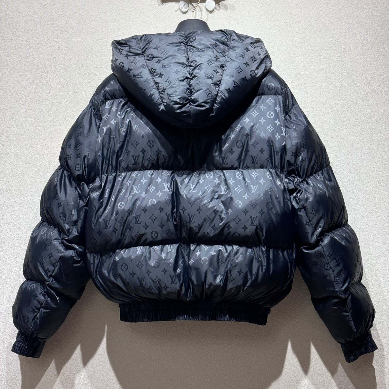 Louis Vuitton Monogram Down Jacket  1AGIRS - DesignerGu