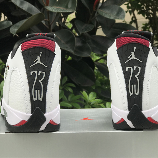 Air Jordan 14 