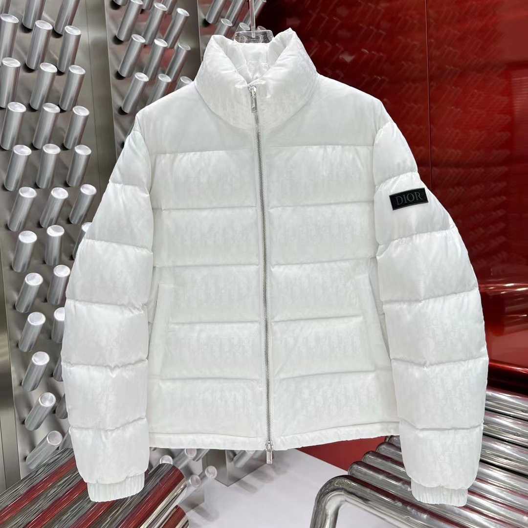 Dior Oblique Down Jacket  - DesignerGu