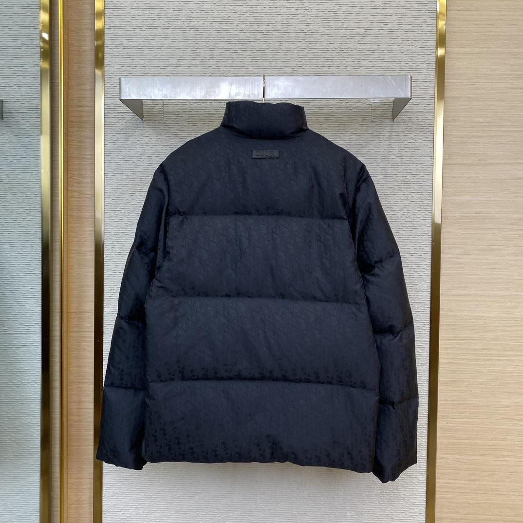 Dior Oblique Down Jacket  - DesignerGu