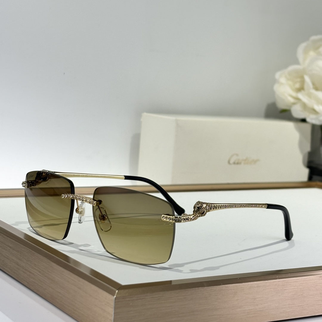 Cartier CT0663 Sunglasses    - DesignerGu