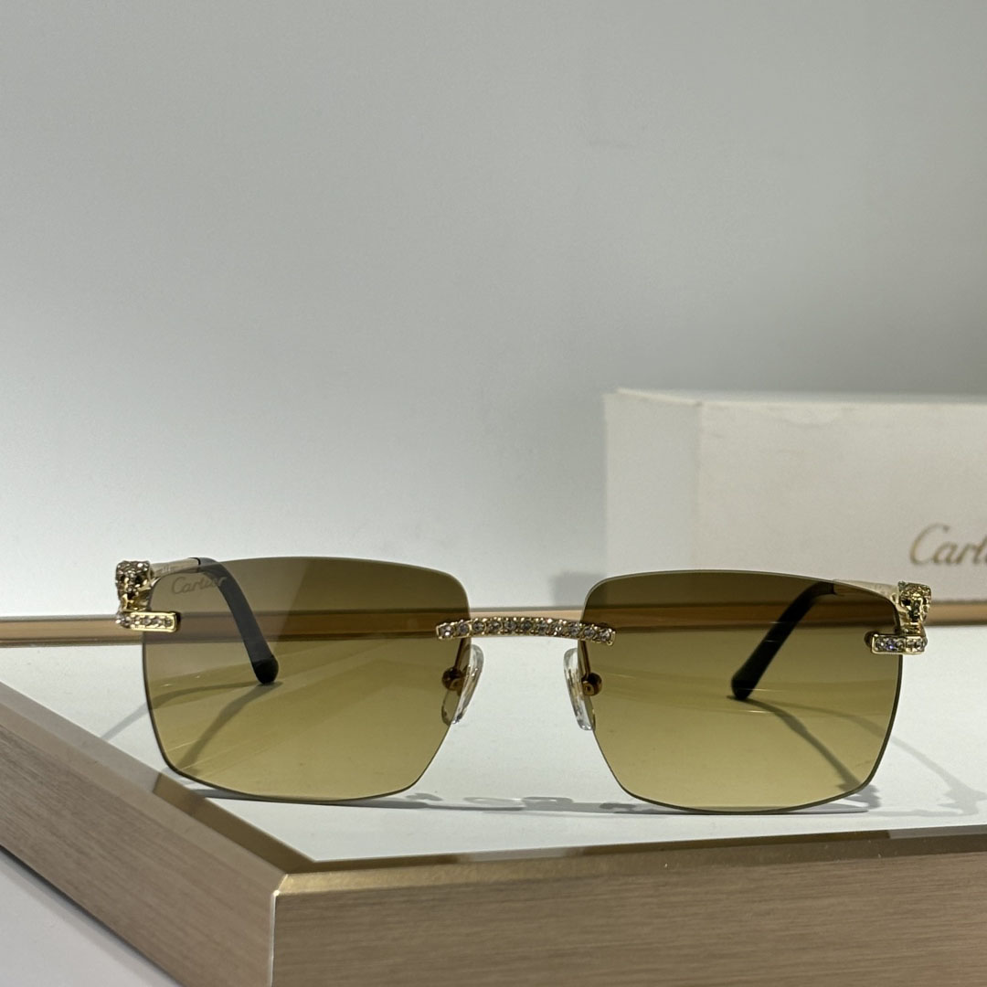 Cartier CT0663 Sunglasses    - DesignerGu