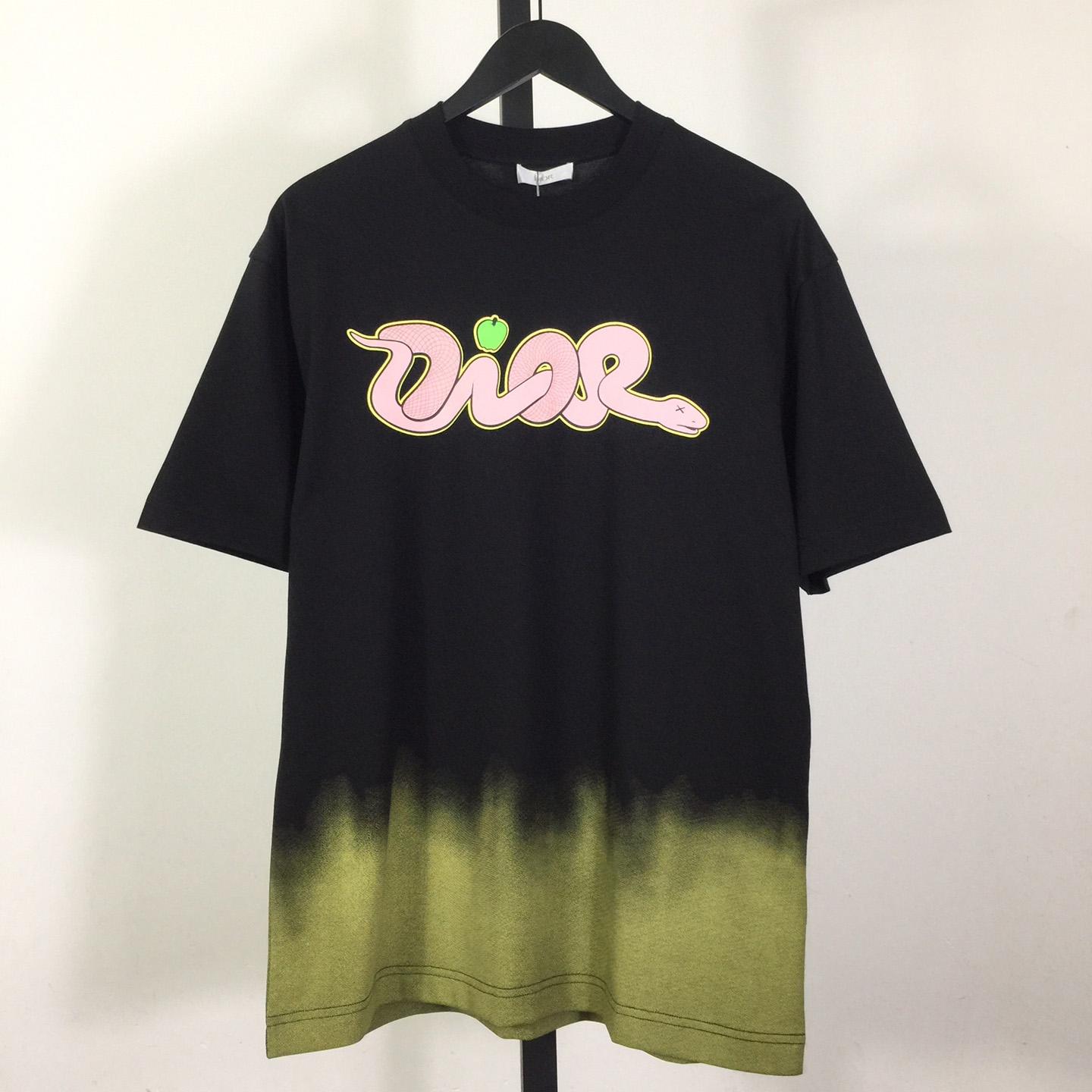 Dior Logo T-Shirt  - DesignerGu