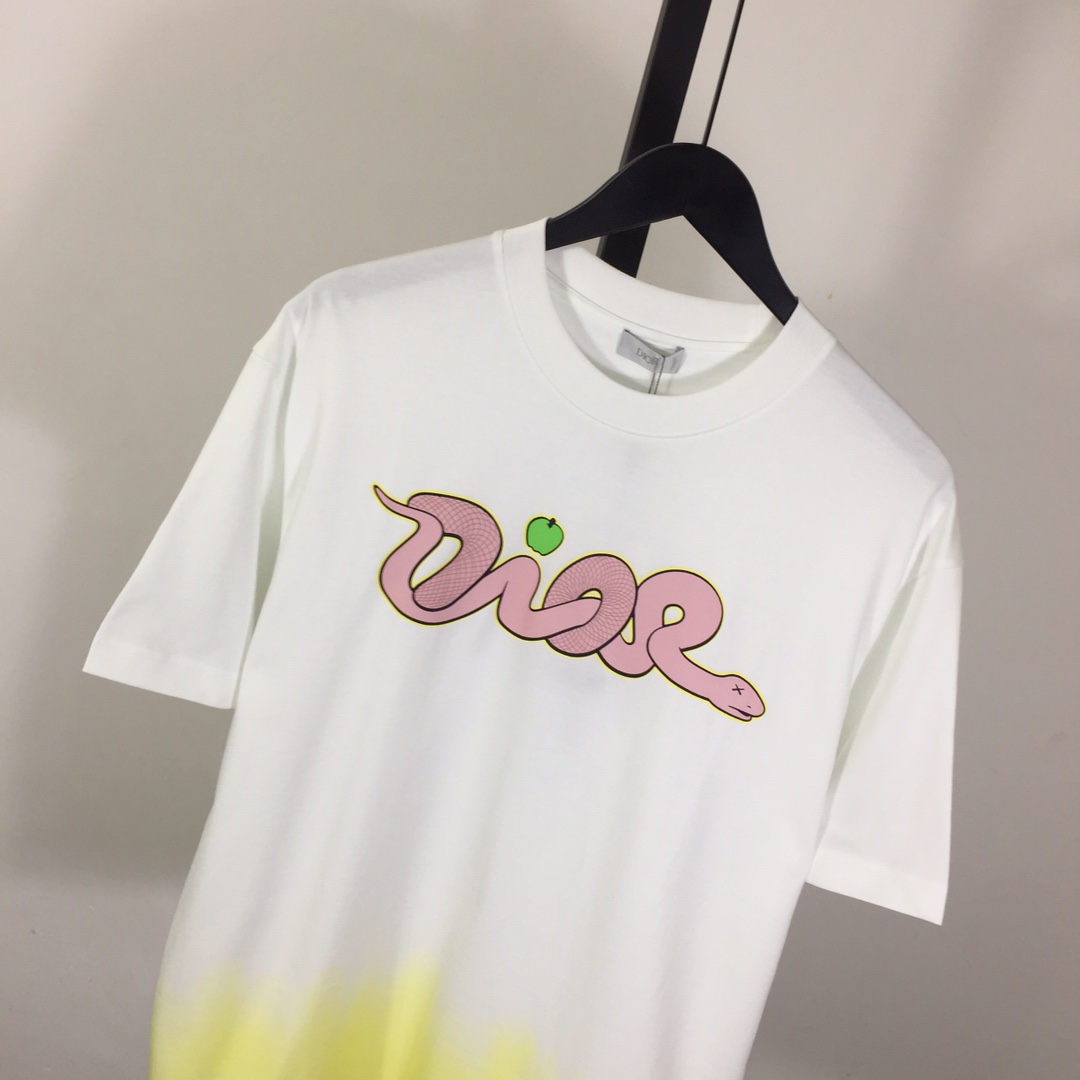 Dior Logo T-Shirt  - DesignerGu