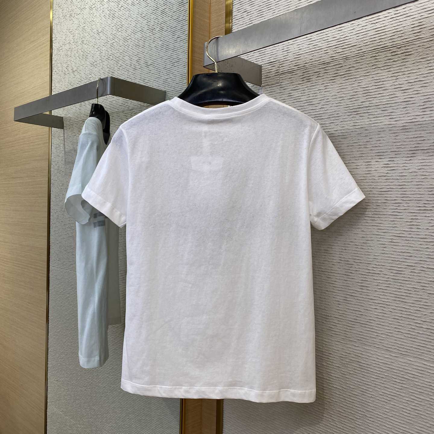 Dior T-Shirt  - DesignerGu